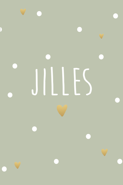 Geboortekaartje Jilles