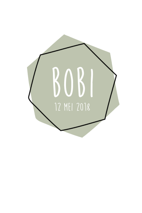 Geboortekaartje Bobi